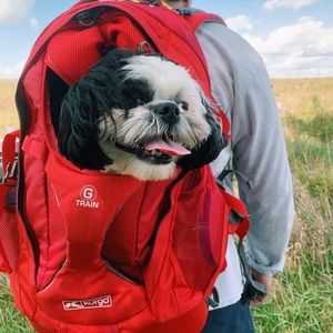 DOGGY BACKPACK LIKE NEW